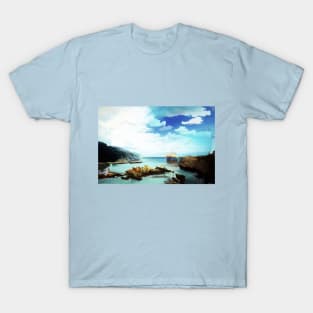 Surrounded by Seagulls T-Shirt